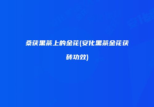 桑茯黑茶上的金花(安化黑茶金花茯砖功效)