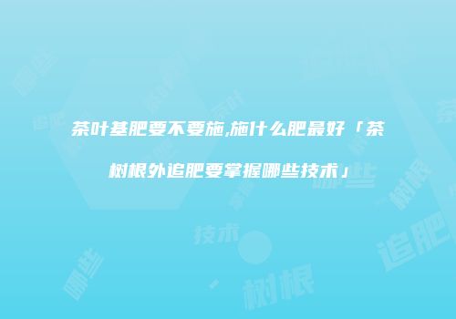 茶叶基肥要不要施,施什么肥最好「茶树根外追肥要掌握哪些技术」