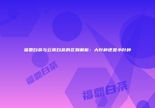 福鼎白茶与云南白茶的区别解析：大叶种还是小叶种
