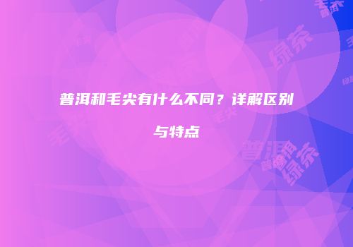 普洱和毛尖有什么不同？详解区别与特点
