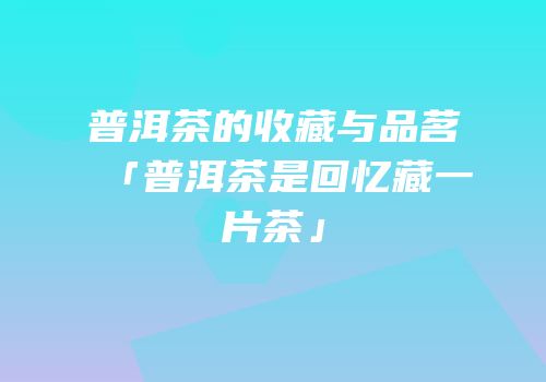 普洱茶的收藏与品茗「普洱茶是回忆藏一片茶」