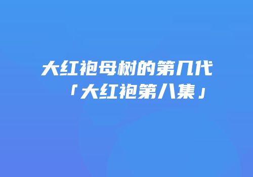 大红袍母树的第几代「大红袍第八集」