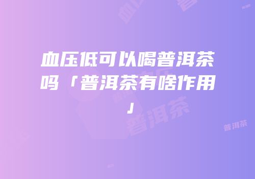 血压低可以喝普洱茶吗「普洱茶有啥作用」