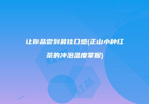 让你品尝到最佳口感(正山小种红茶的冲泡温度掌握)