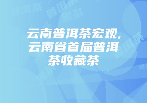 云南普洱茶宏观,云南省首届普洱茶收藏茶