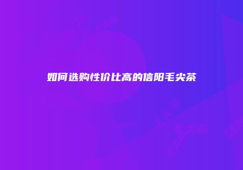 如何选购性价比高的信阳毛尖茶