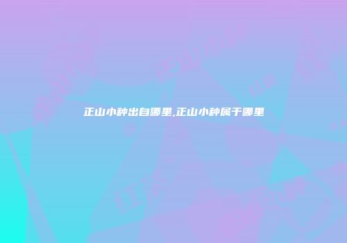 正山小种出自哪里,正山小种属于哪里