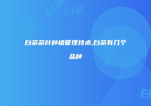 白茶茶叶种植管理技术,白茶有几个品种