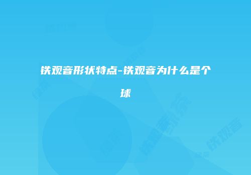 铁观音形状特点-铁观音为什么是个球
