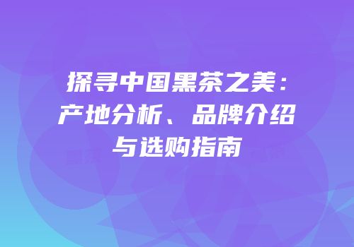 探寻中国黑茶之美：产地分析、品牌介绍与选购指南