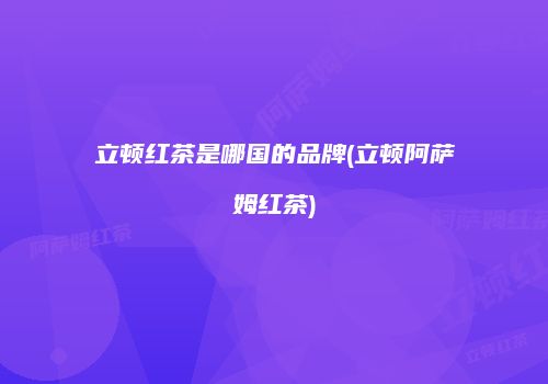 立顿红茶是哪国的品牌(立顿阿萨姆红茶)