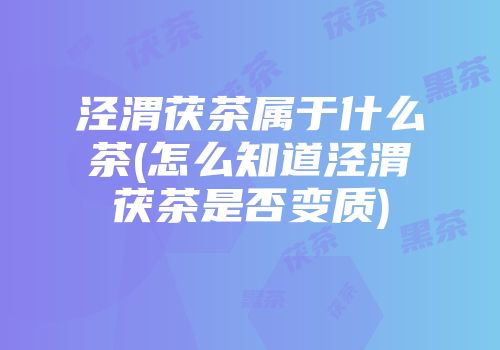 泾渭茯茶属于什么茶(怎么知道泾渭茯茶是否变质)