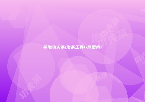 学泡功夫茶(泡茶工具6件图片)