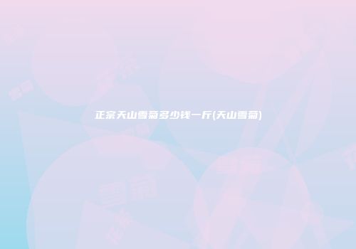 正宗天山雪菊多少钱一斤(天山雪菊)