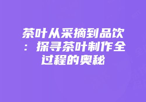 茶叶从采摘到品饮：探寻茶叶制作全过程的奥秘