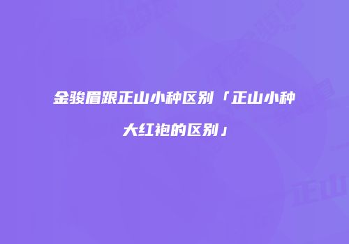 金骏眉跟正山小种区别「正山小种大红袍的区别」