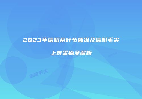2023年信阳茶叶节盛况及信阳毛尖上市采摘全解析