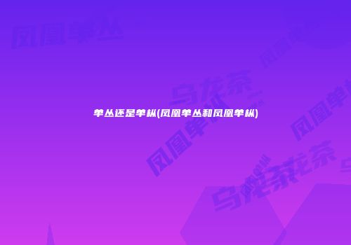 单丛还是单枞(凤凰单丛和凤凰单枞)