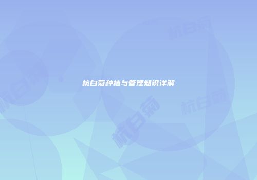 杭白菊种植与管理知识详解