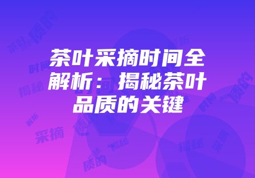 茶叶采摘时间全解析：揭秘茶叶品质的关键