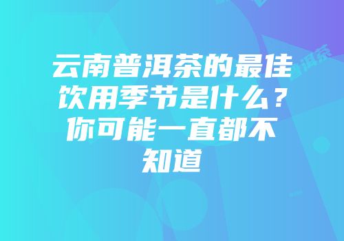云南普洱茶的最佳饮用季节是什么？你可能一直都不知道