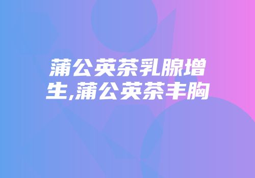 蒲公英茶乳腺增生,蒲公英茶丰胸
