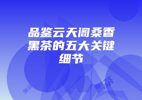 品鉴云天阁桑香黑茶的五大关键细节