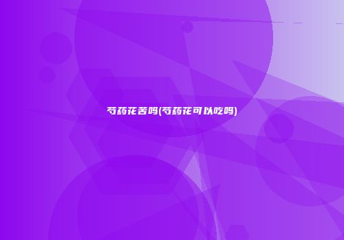 芍药花苦吗(芍药花可以吃吗)