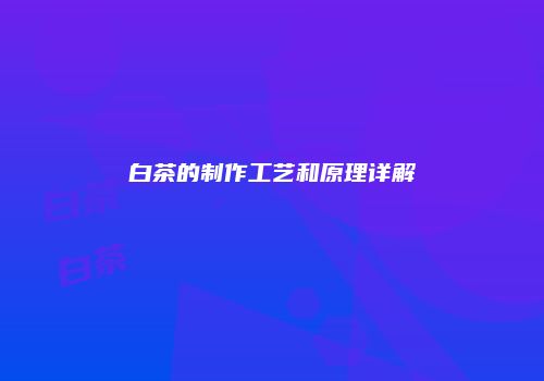 白茶的制作工艺和原理详解