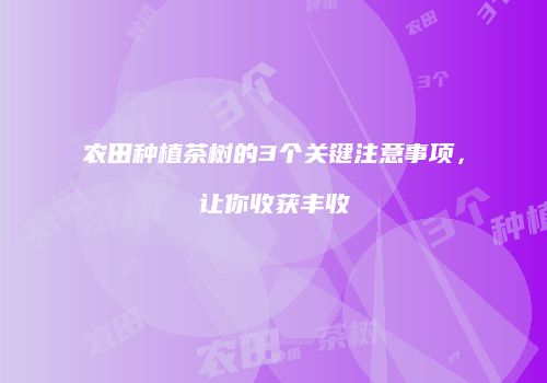 农田种植茶树的3个关键注意事项，让你收获丰收