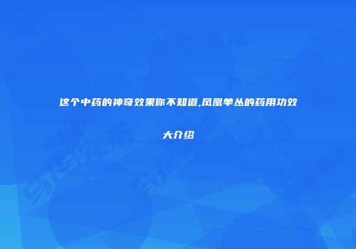 这个中药的神奇效果你不知道,凤凰单丛的药用功效大介绍