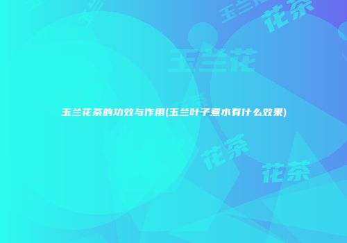 玉兰花茶的功效与作用(玉兰叶子煮水有什么效果)