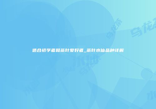适合初学者和茶叶爱好者_茶叶水仙品种详解