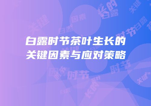 白露时节茶叶生长的关键因素与应对策略