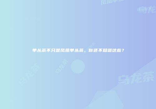 单丛茶不只是凤凰单丛茶，你还不知道这些？