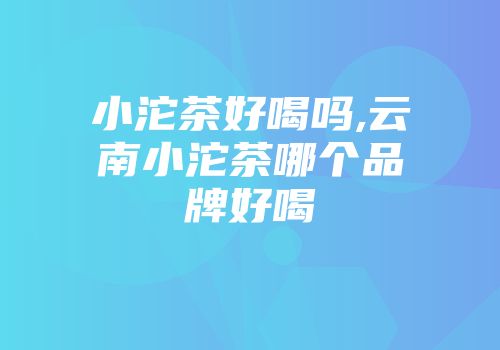 小沱茶好喝吗,云南小沱茶哪个品牌好喝
