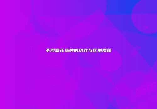 不同菊花品种的功效与区别揭秘