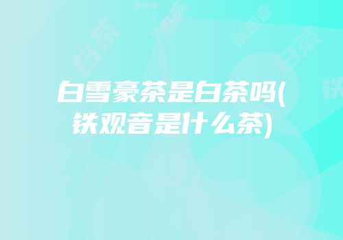 白雪豪茶是白茶吗(铁观音是什么茶)