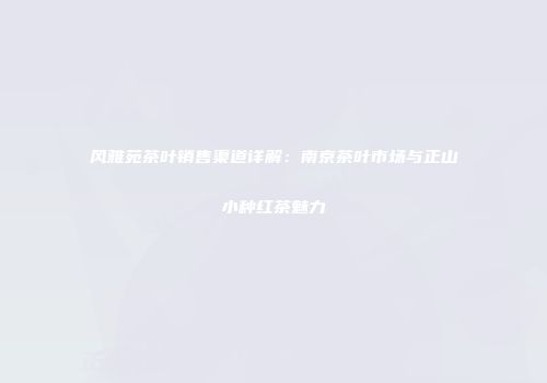 风雅苑茶叶销售渠道详解：南京茶叶市场与正山小种红茶魅力
