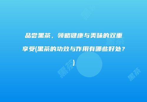 品尝黑茶，领略健康与美味的双重享受(黑茶的功效与作用有哪些好处？)