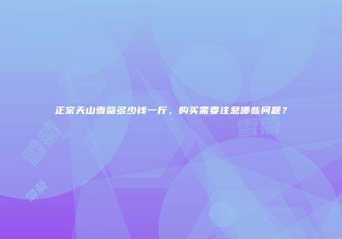 正宗天山雪菊多少钱一斤，购买需要注意哪些问题？