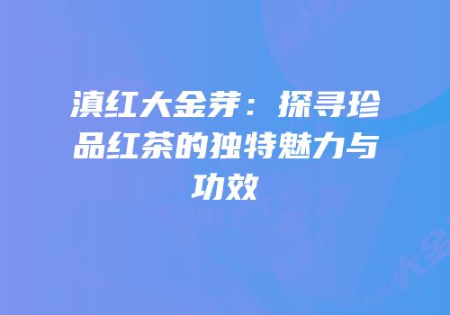 滇红大金芽：探寻珍品红茶的独特魅力与功效