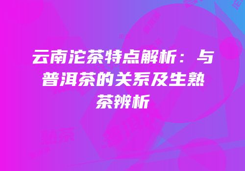 云南沱茶特点解析：与普洱茶的关系及生熟茶辨析