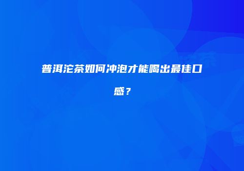 普洱沱茶如何冲泡才能喝出最佳口感？