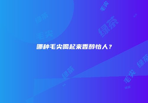 哪种毛尖喝起来香醇怡人？