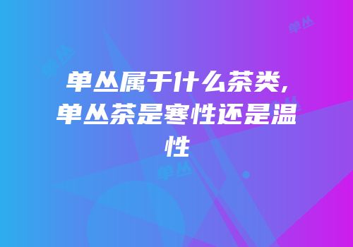 单丛属于什么茶类,单丛茶是寒性还是温性