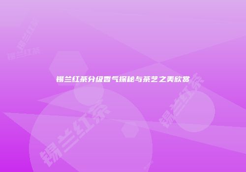 锡兰红茶分级香气探秘与茶艺之美欣赏