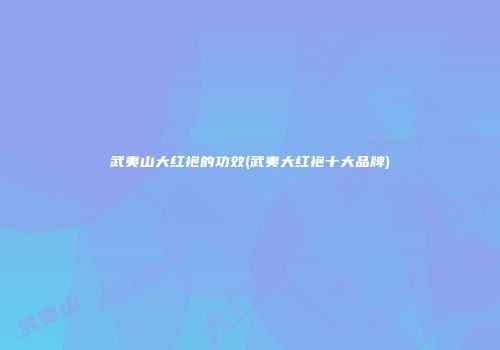 武夷山大红袍的功效(武夷大红袍十大品牌)