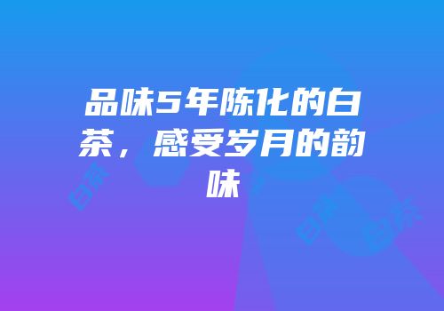 品味5年陈化的白茶，感受岁月的韵味