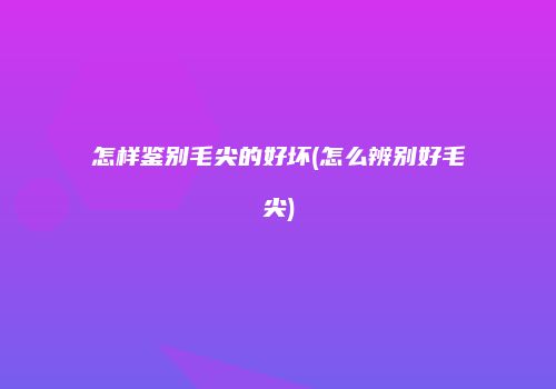 怎样鉴别毛尖的好坏(怎么辨别好毛尖)
